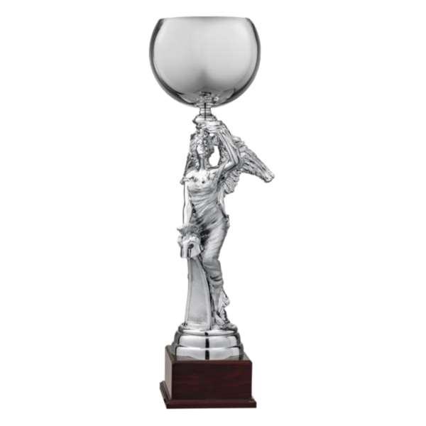 Trofeo SO6902