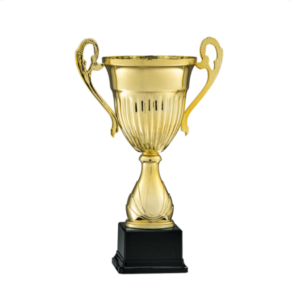 Trofeo 3314 - 3315 - immagine 2