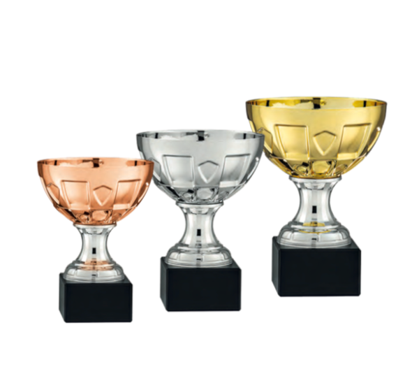 Coppa 3433